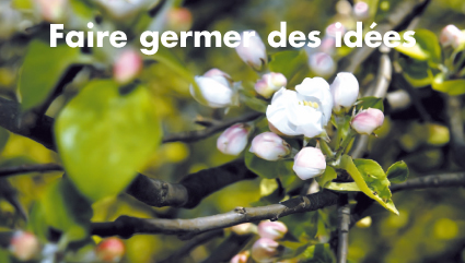 Faire germer des idées